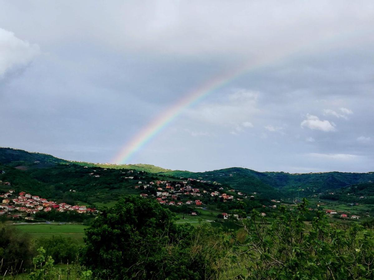Peaceful View Apartment Копер Экстерьер фото