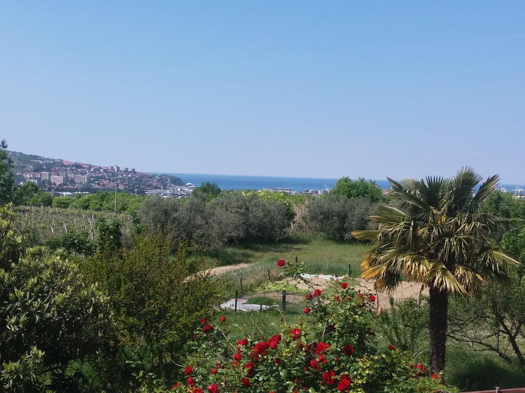 Peaceful View Apartment Копер Экстерьер фото